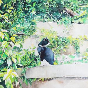 撕开她的胸罩猛吸奶头的视频
