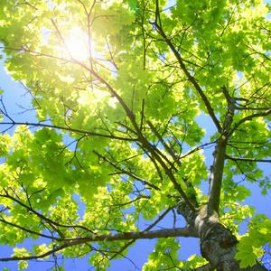 撕开她的胸罩猛吸奶头的视频
